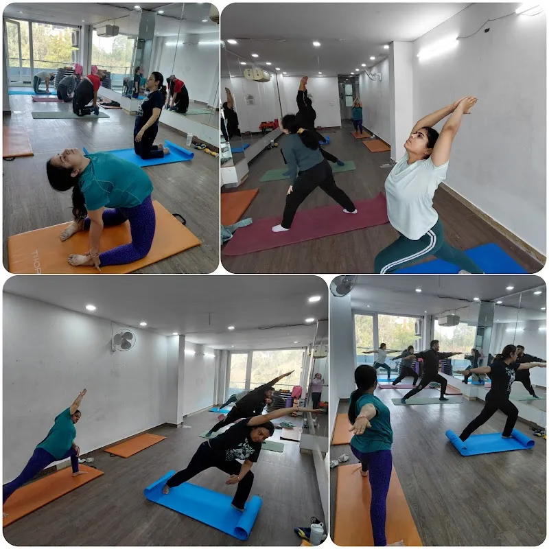 Yoga & fitness center