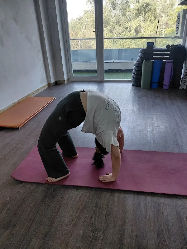 Yoga & fitness center
