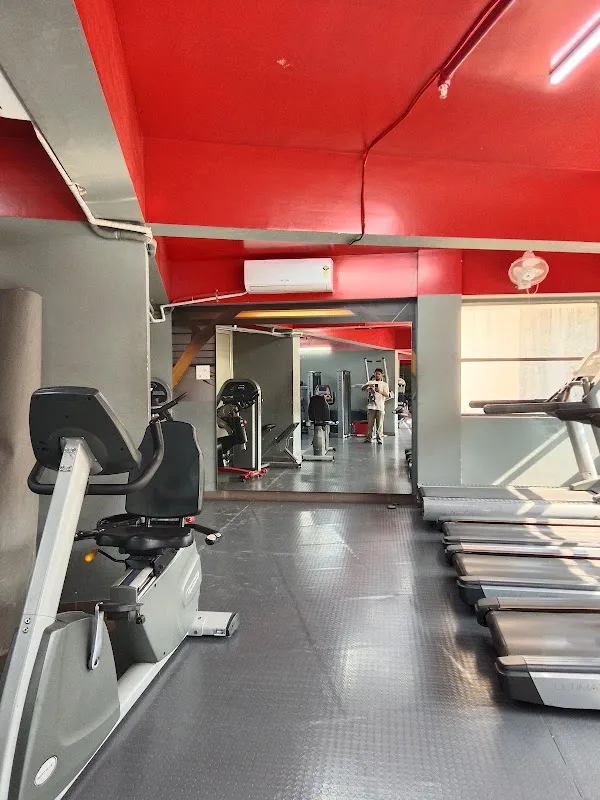 AV'S Fitness