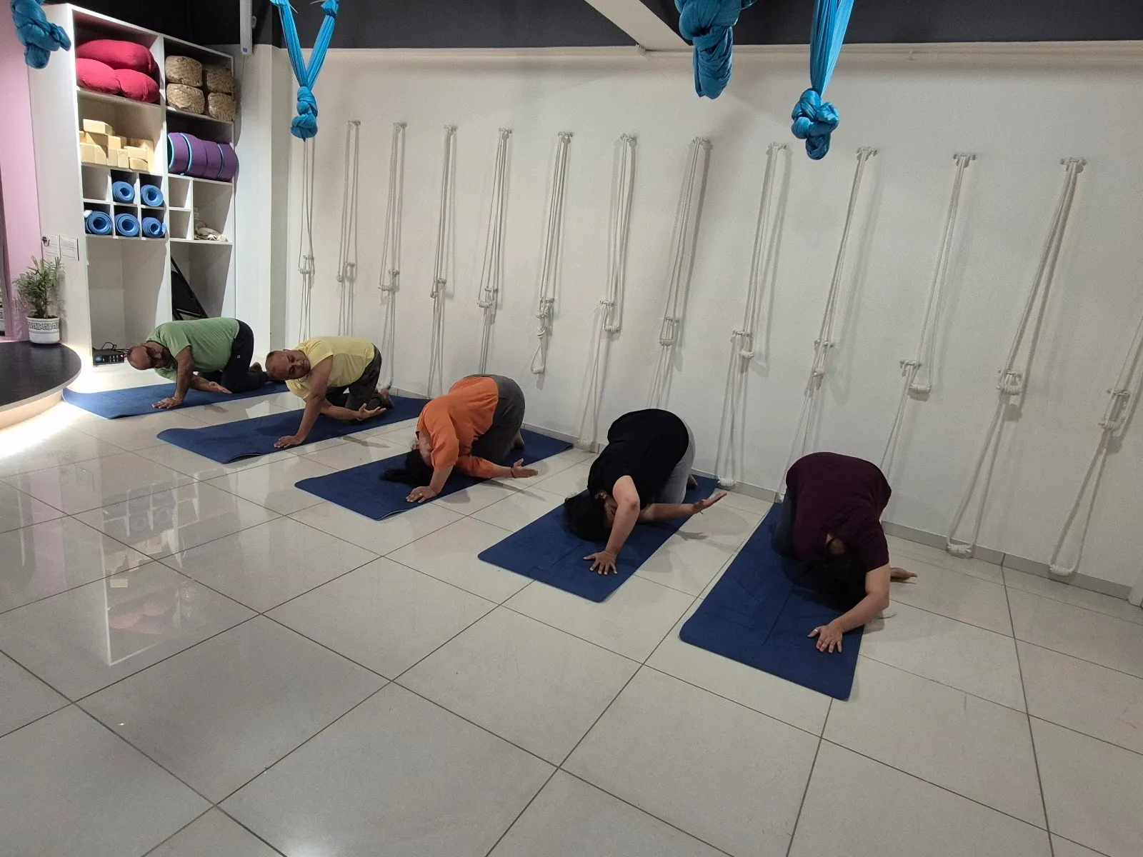 Sattva Yoga & Wellness Studio