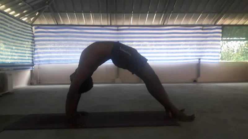 SAMSKRITI YOGA VAIDYA NILAYAM