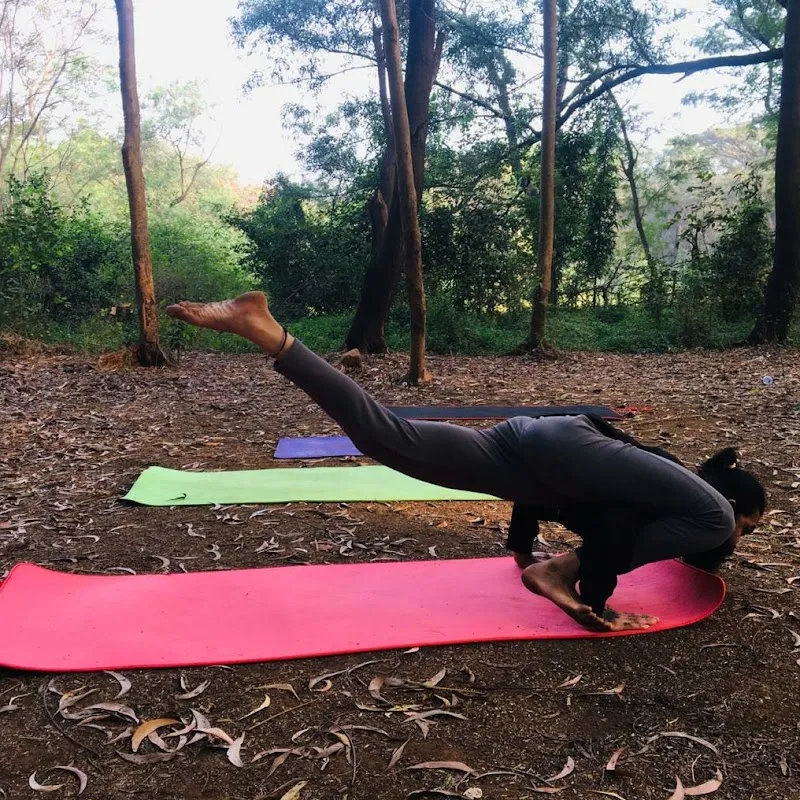 Himalayan Yoga Studio & At Home