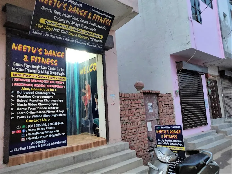 Neetu Dance and Fitness - Online Dance Classes for Kids & Adults