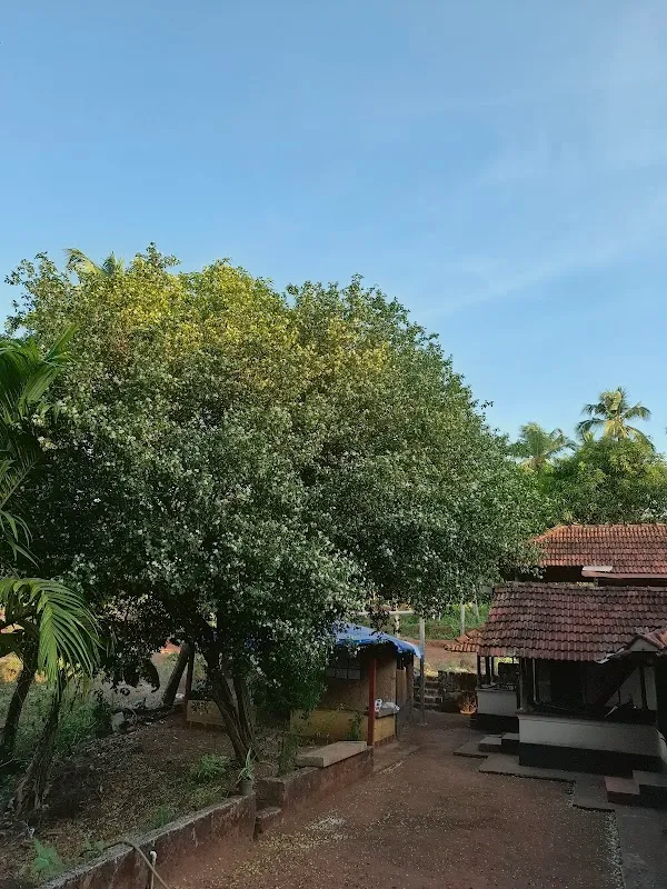 Enavoor kalari