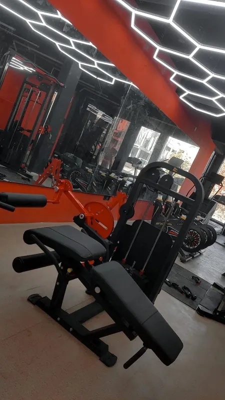 Apexfit Fitness