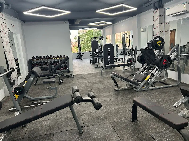 Apexfit Fitness
