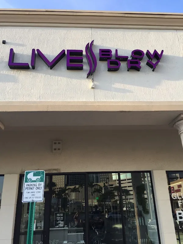 Live Blow Dry Hair Salon