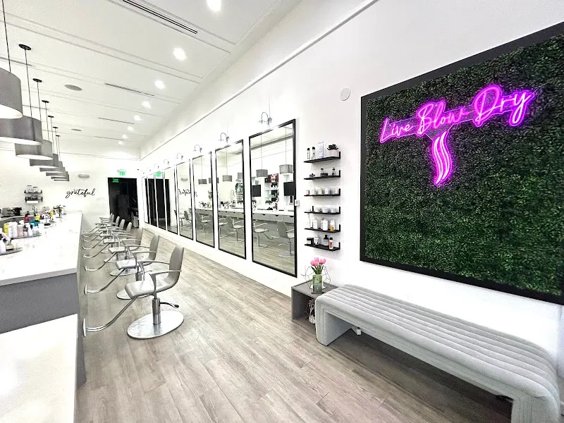 Live Blow Dry Hair Salon