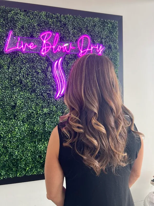 Live Blow Dry Hair Salon
