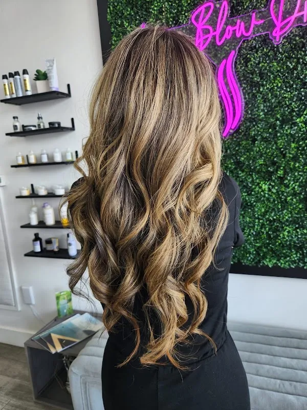 Live Blow Dry Hair Salon