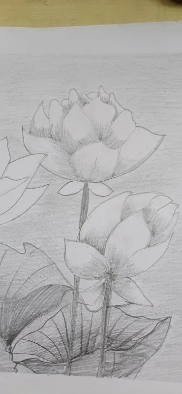 Sketching and Drawing classes , Art Avenue School
