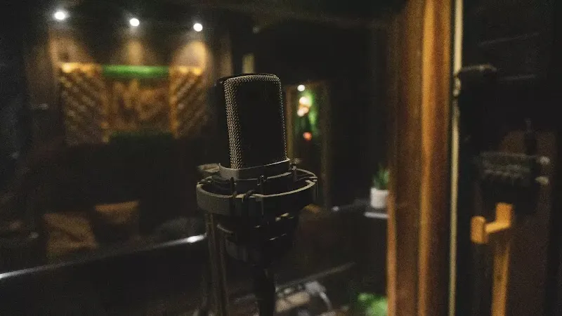 MS Productions