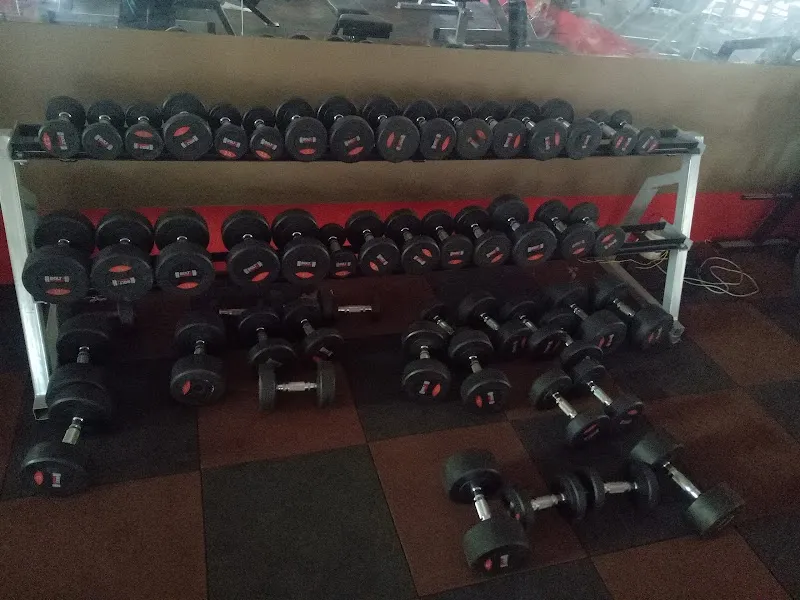 AP Fitness Club