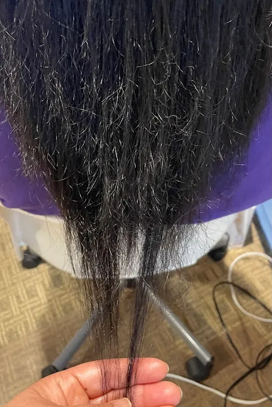 Laboratory Hair Studio