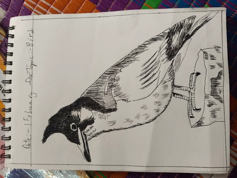 The world of art Drawing class