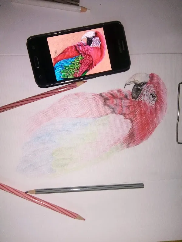 The world of art Drawing class