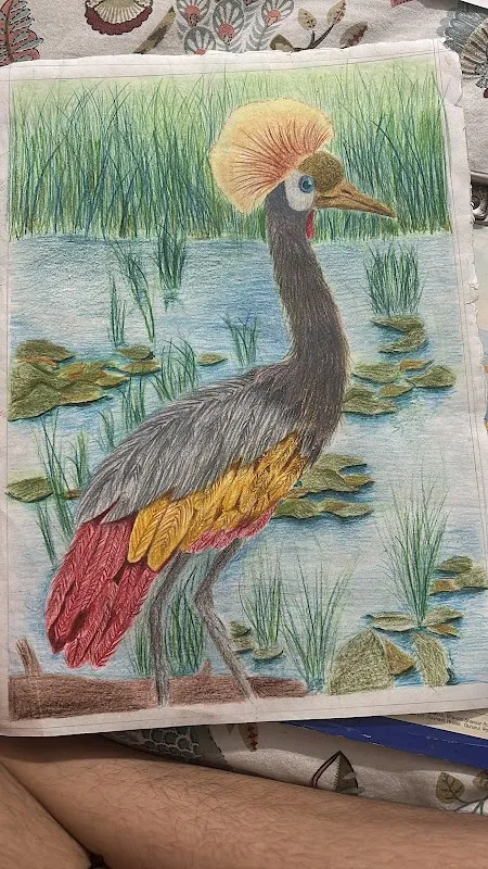 The world of art Drawing class