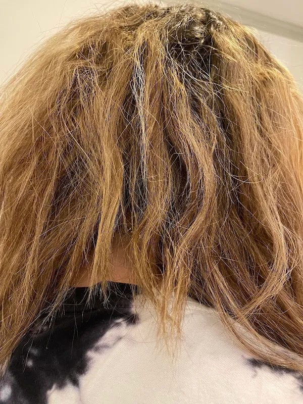 Aeracura Aveda Salon