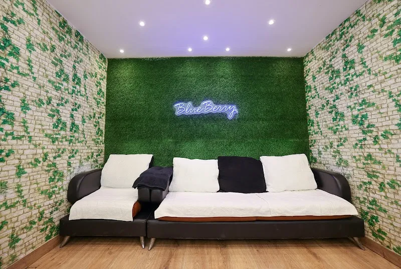 Blue Berry Wellness And Spa
