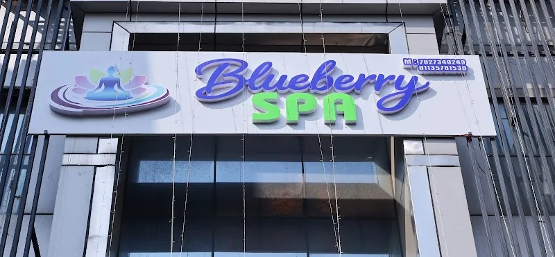 Blue Berry Wellness And Spa