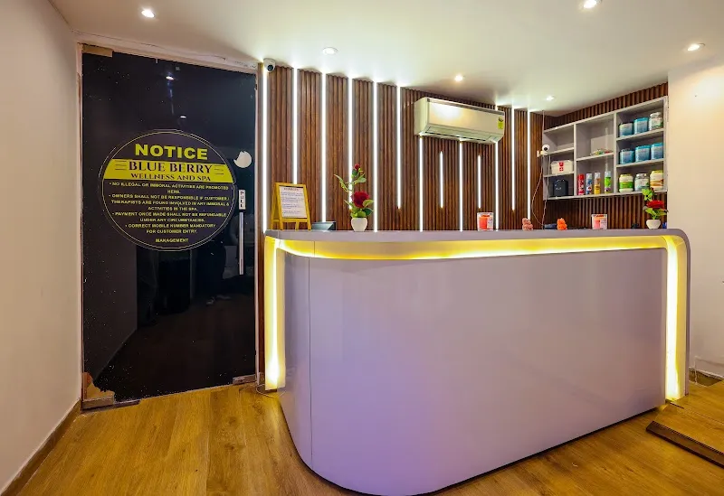 Blue Berry Wellness And Spa