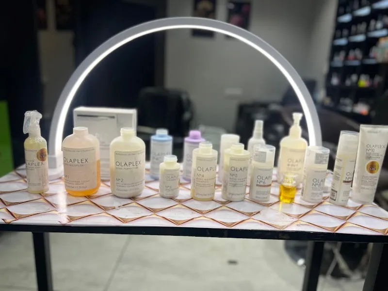 The Luxe Salon