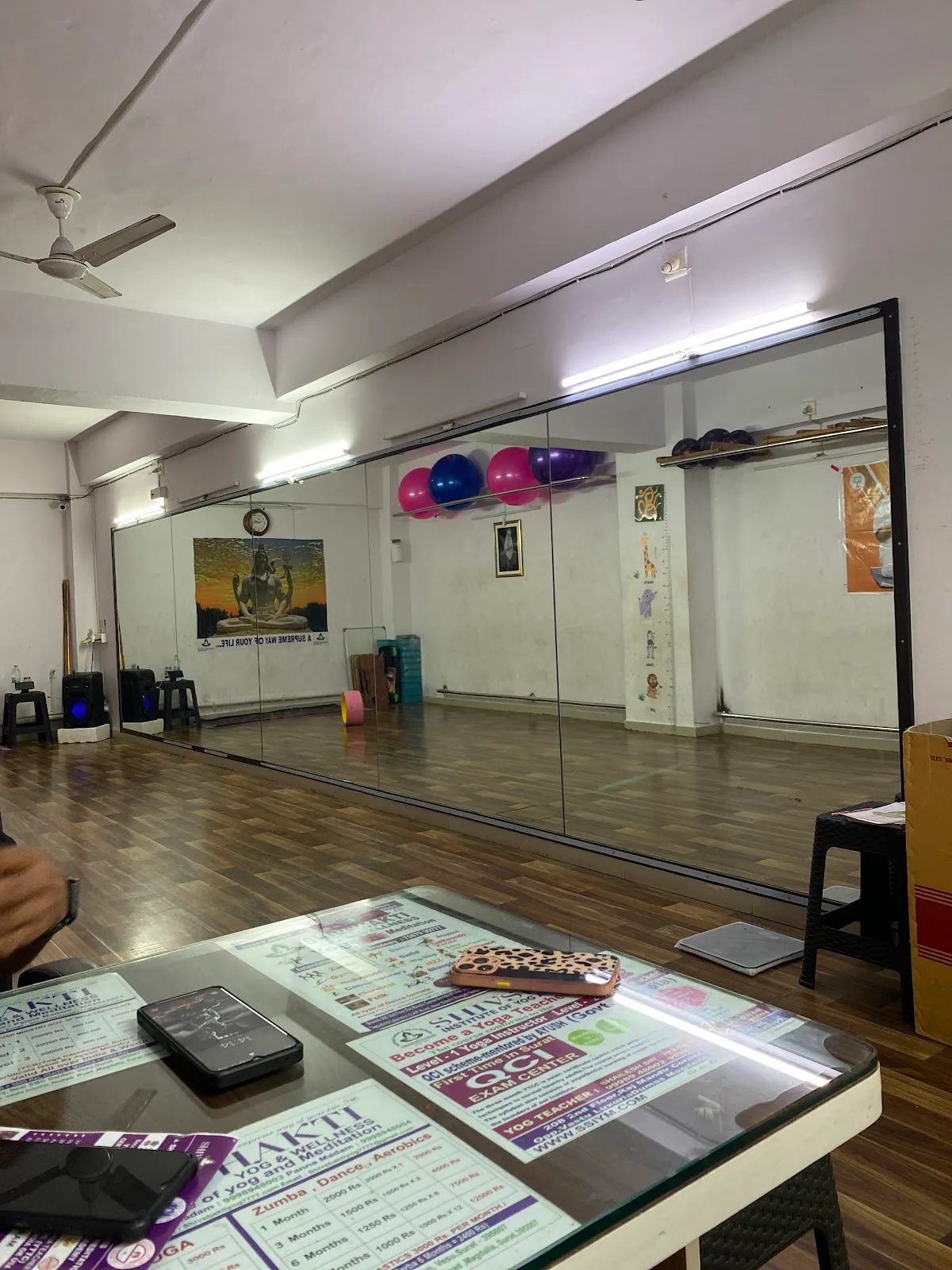 Shivshakti Yoga & Wellness