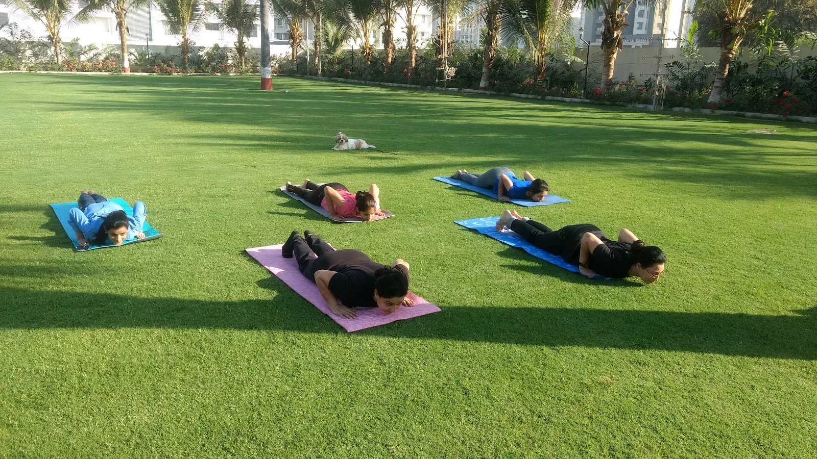 Shivshakti Yoga & Wellness