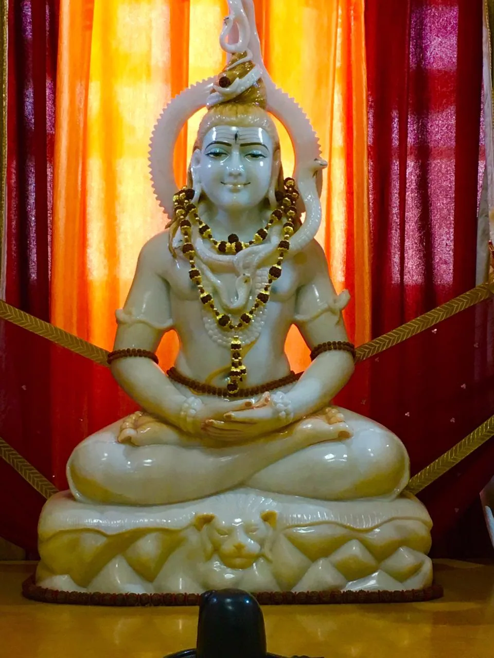 Yoga Point (TRPOL) - DYP Yog Center