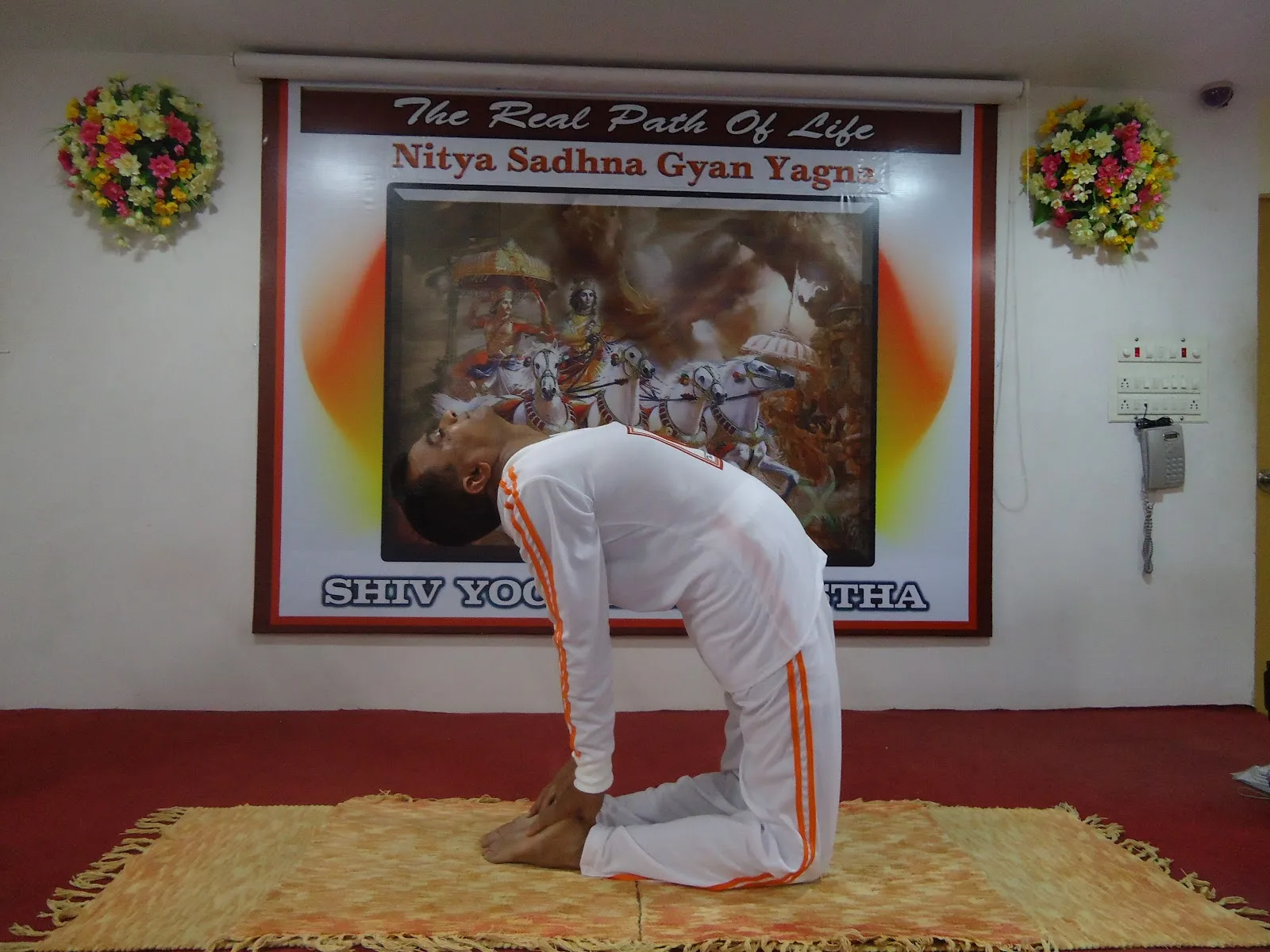 Yoga Point (TRPOL) - DYP Yog Center