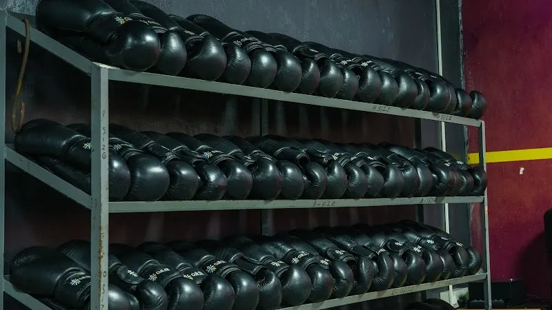 Cult Malleshwaram | Best Fitness Center in Malleshwaram, Bengaluru