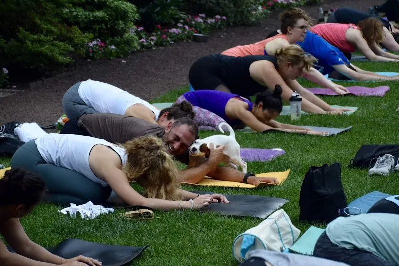 Amrita Yoga and Wellness