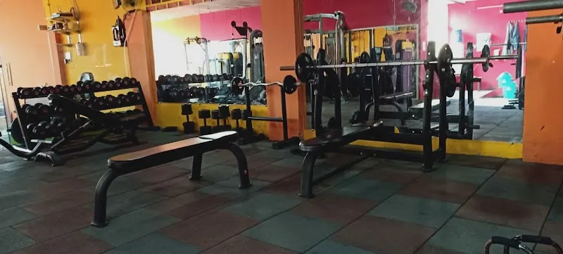 Mj Fitness Studio Gym