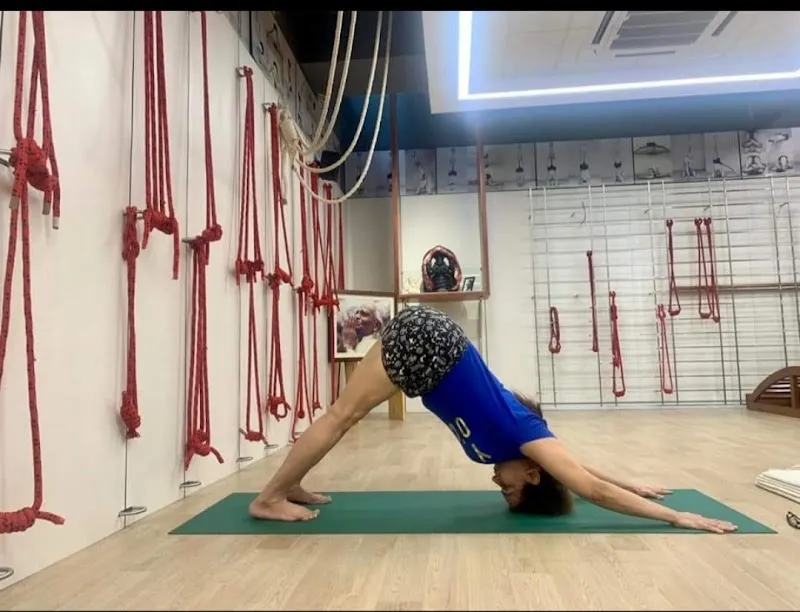 Yoganusasanam - yoga center in delhi | Iyengar Yoga Centre | Yoga Classes near by You