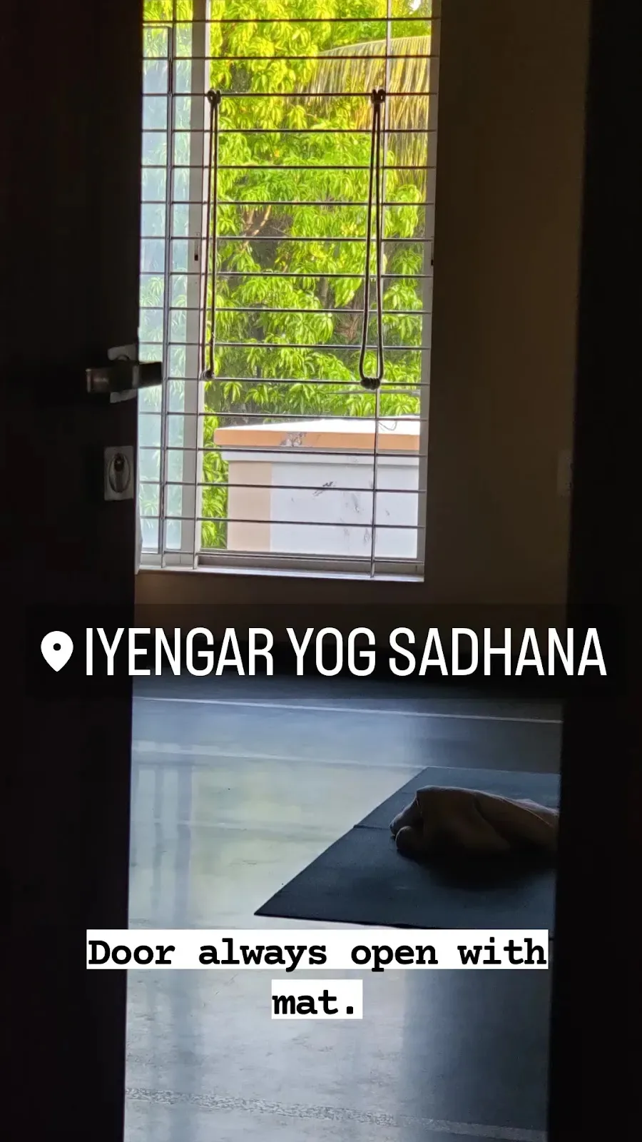 Iyengar Yog Sadhana by Abhay Javakhedkar