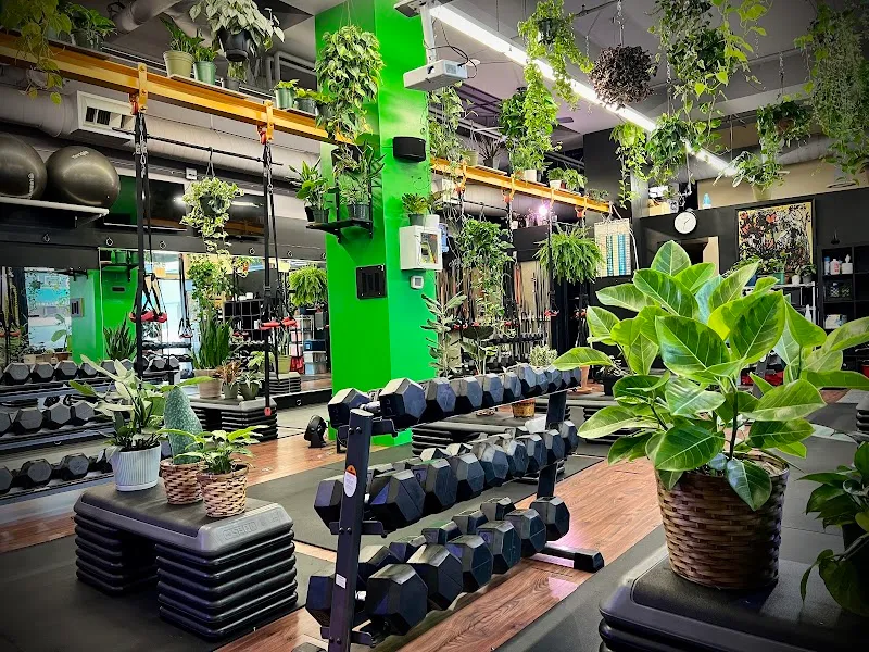 Fitnext: The Jungle Gym