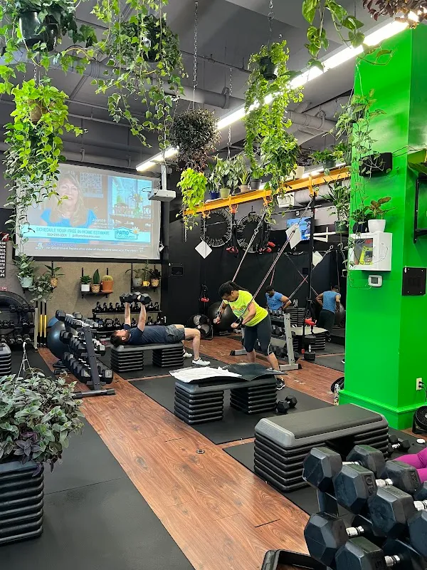 Fitnext: The Jungle Gym