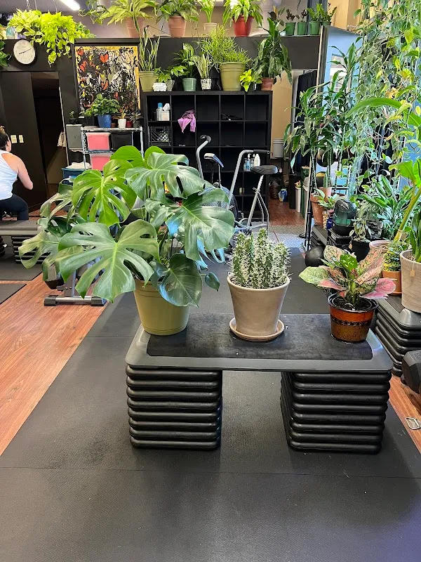 Fitnext: The Jungle Gym