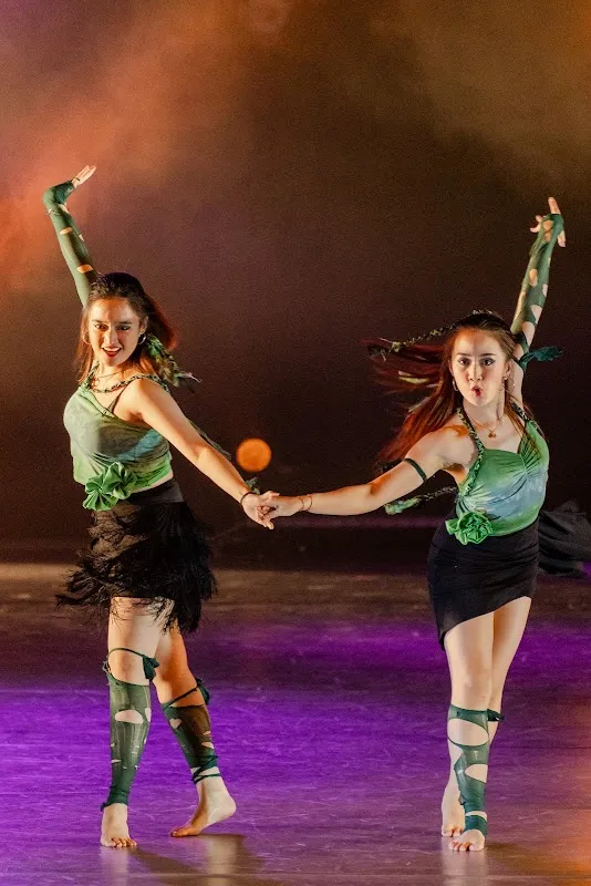 The DanceSport Academy (tda)