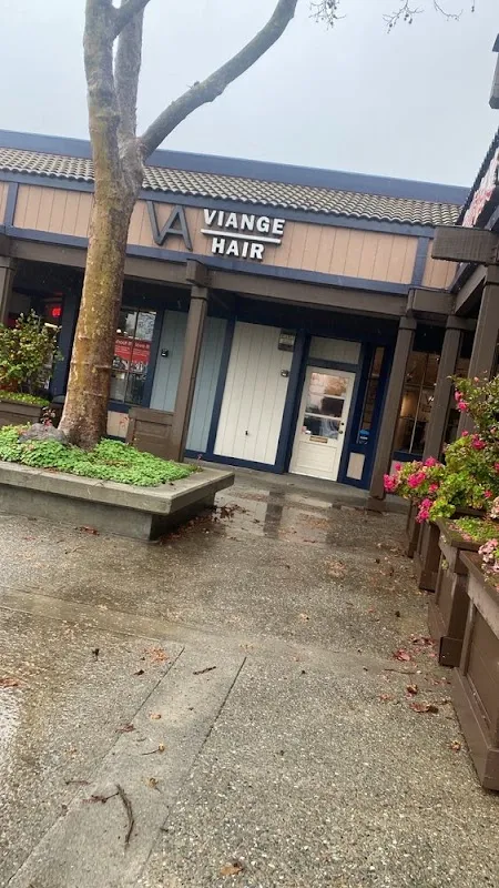 Viange Hair Dublin