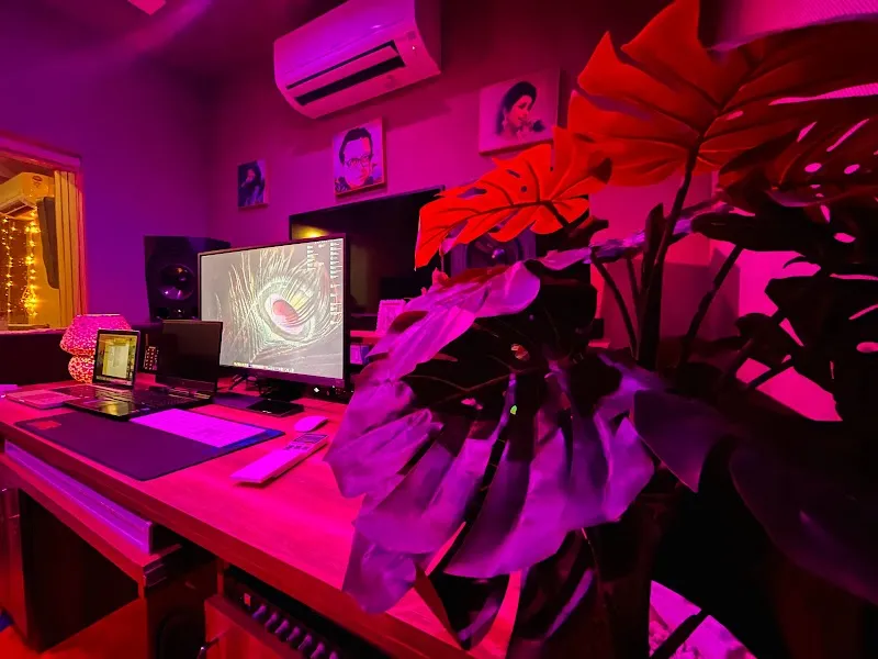 Sound-Squirrel Studio