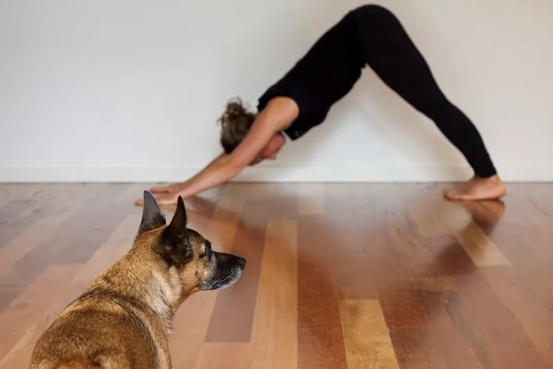 Essential Yoga Busselton