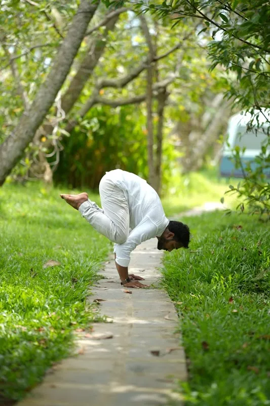 Rishi Yoga