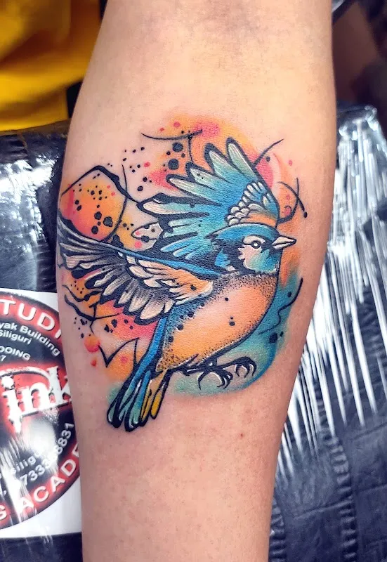 Wild Ink Tattoo Studio & Academy