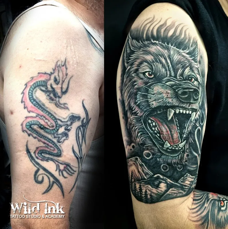 Wild Ink Tattoo Studio & Academy